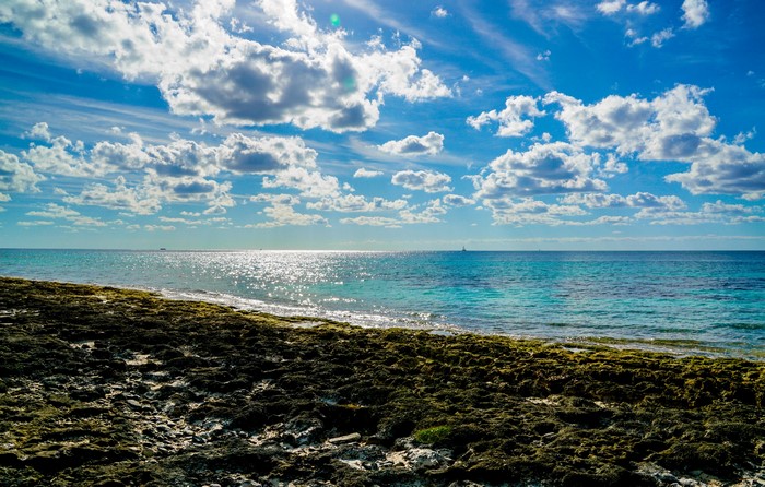 Sea Coast with Clouds and Sun Reflection
