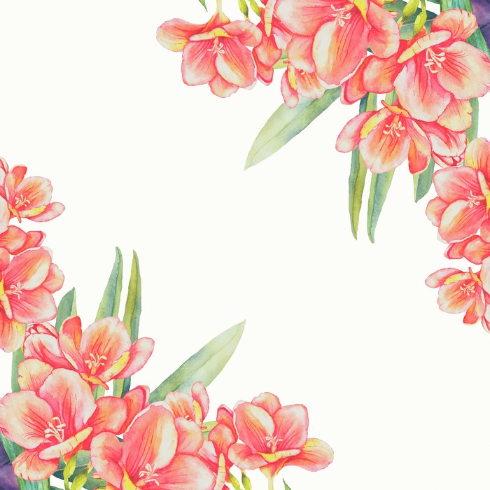 Watercolor painting of coral freesia flowers