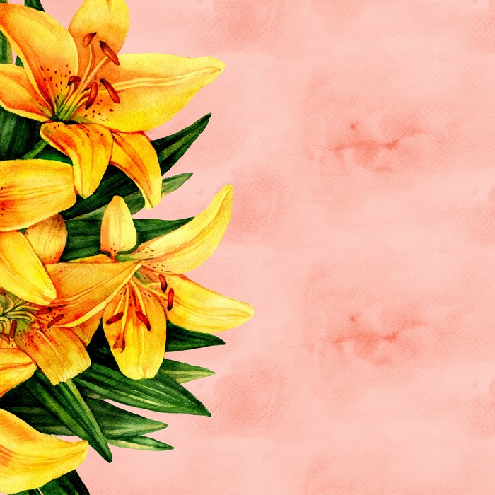 Yellow Lilies on a Pink Watercolor Background