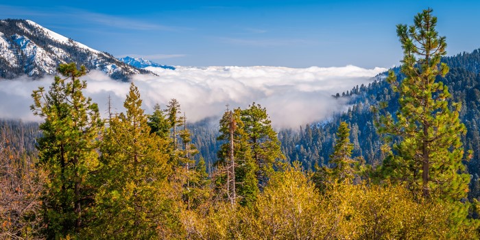 Kings Canyon National Park, California, USA