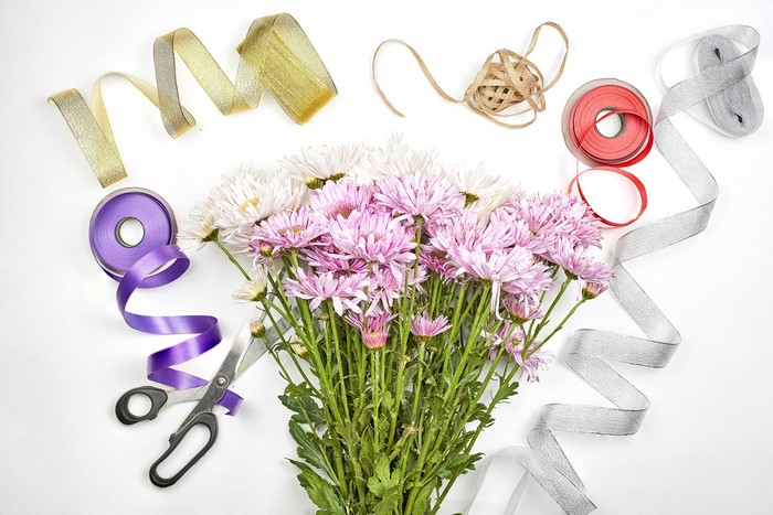 Chrysanthemums with ribbons and scissors