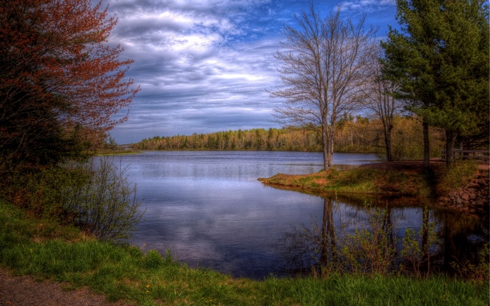 Lake surrounded by trees under a cloudy sky