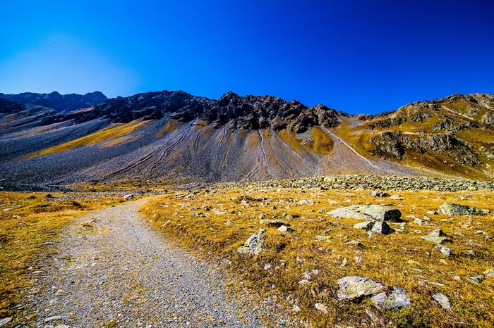 Mountain landscape with a path in Switzerland