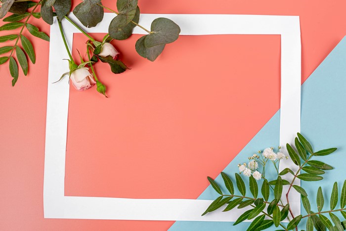 Roses and branches on a coral and blue background with a white frame