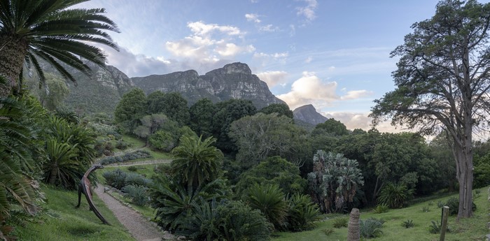 Mountain landscape with trees and a prehistoric garden