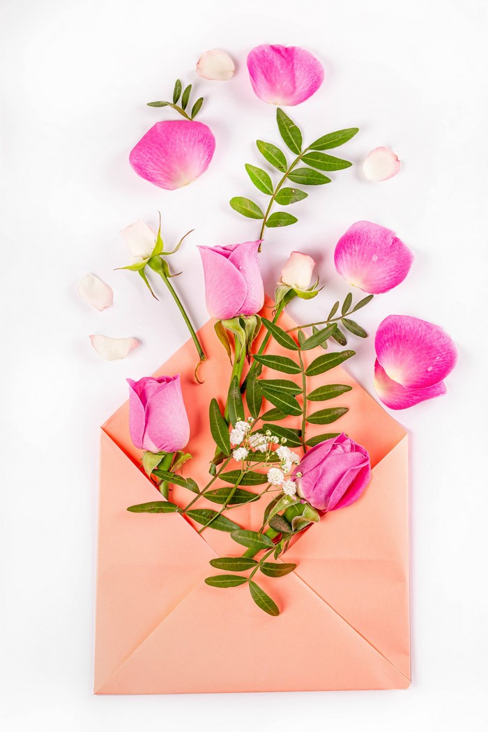 Pink roses and petals spilling from an envelope