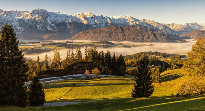 Austria Alps mountains with fog and spruce trees