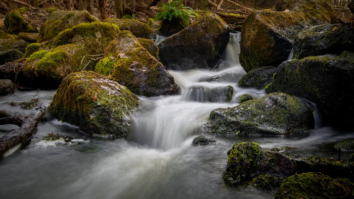 Mossy stones in a stream in Sweden