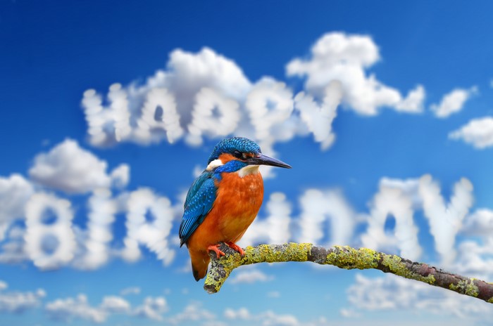 Happy Birthday clouds with a kingfisher bird