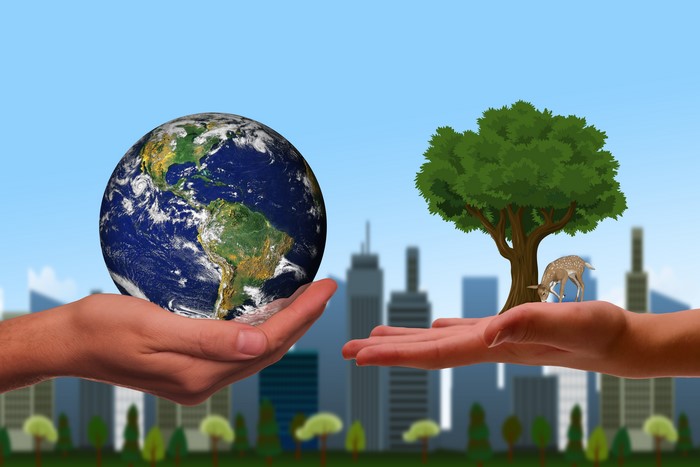 Hands holding Earth and a tree with a deer