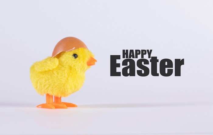 Happy Easter chick with eggshell hat