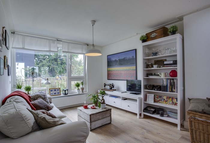 Living room with sofa, bookshelf, and TV