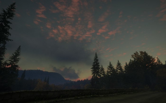 Sunset over a forest and mountains
