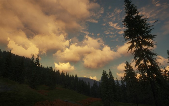 Clouds over a forest landscape at sunset