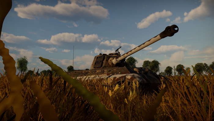 Tiger II tank in a field