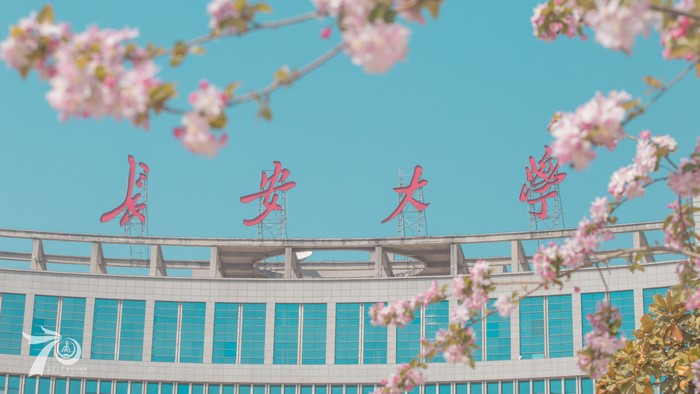 Changan University Campus with Cherry Blossoms