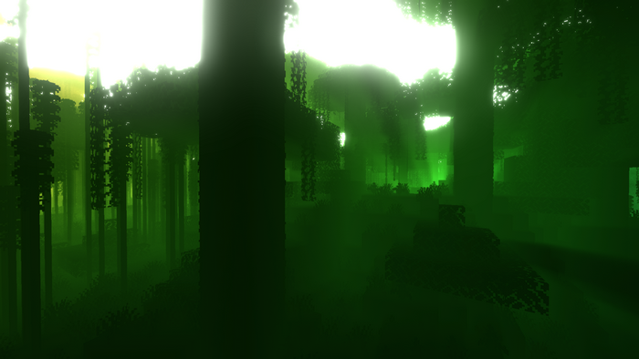 Green forest with sun rays
