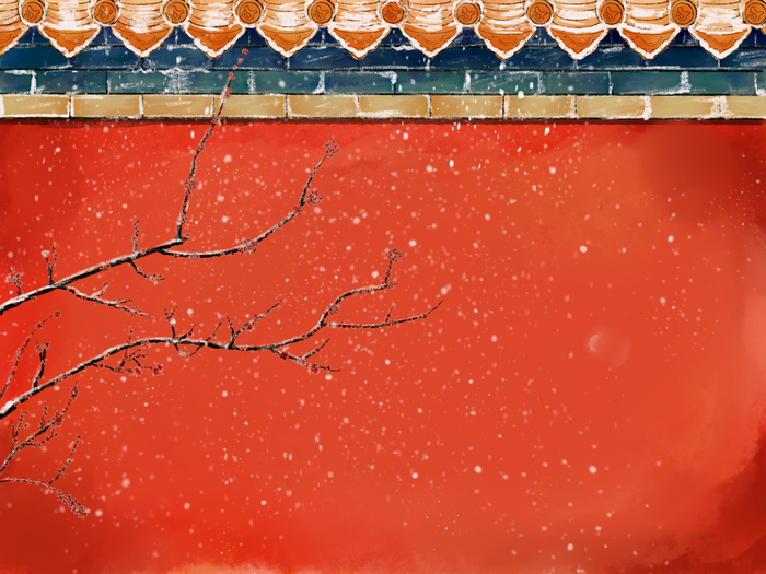 Plum blossom branches in snow against red wall