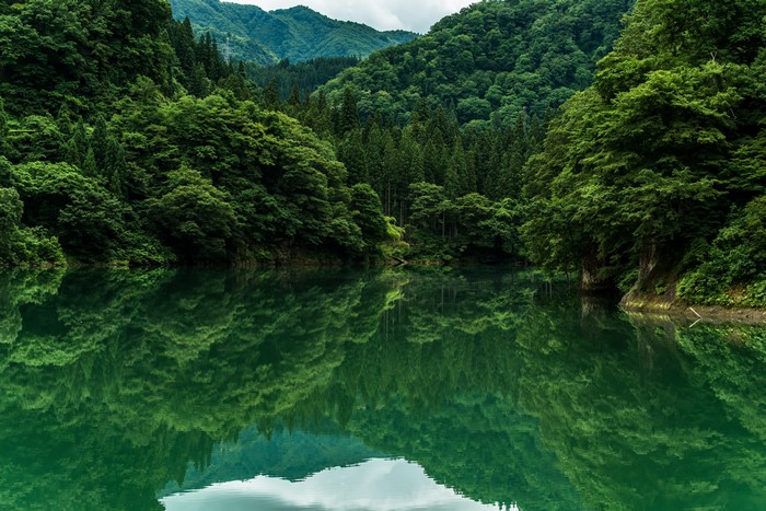4K lake surrounded by lush green mountains and trees