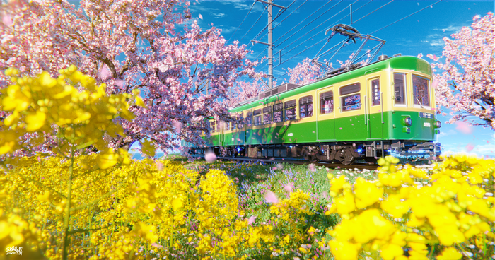 4K train artwork with sakura and canola flowers