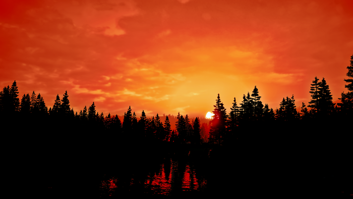 4K sunset over a forest with lake