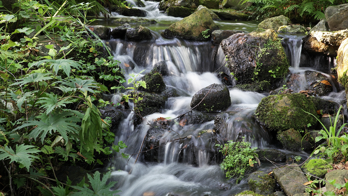 4K Waterfall in Nature