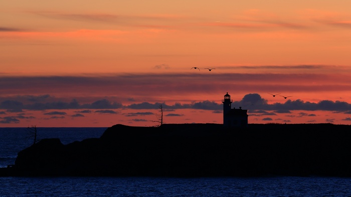 Silhouette of a lighthouse and birds at sunset