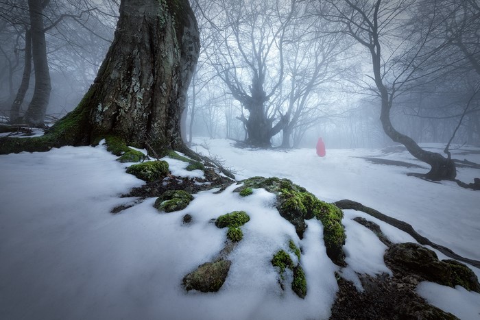 Red Hood in a misty winter forest with snow