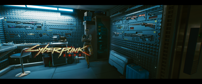 V from Cyberpunk 2077 in a weapon room