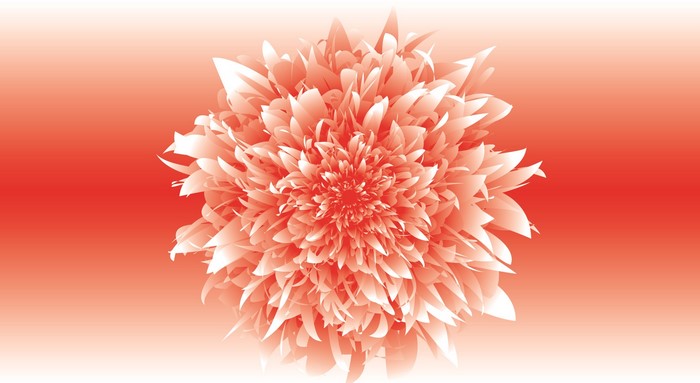Abstract orange flower with gradient background