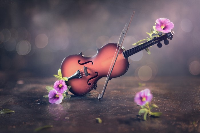 Violin with purple flowers and bow