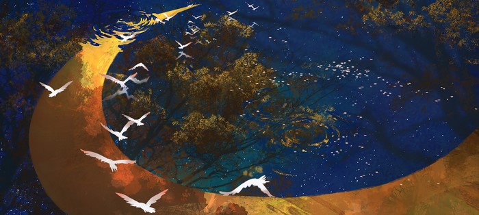 Artwork of birds flying over water at night