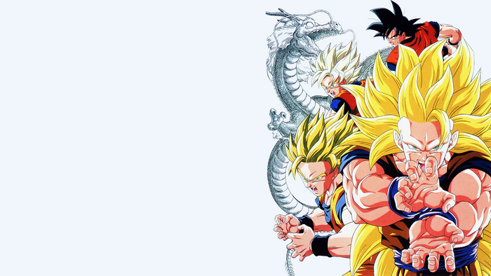 Dragon Ball Z artwork featuring Goku and Shenron