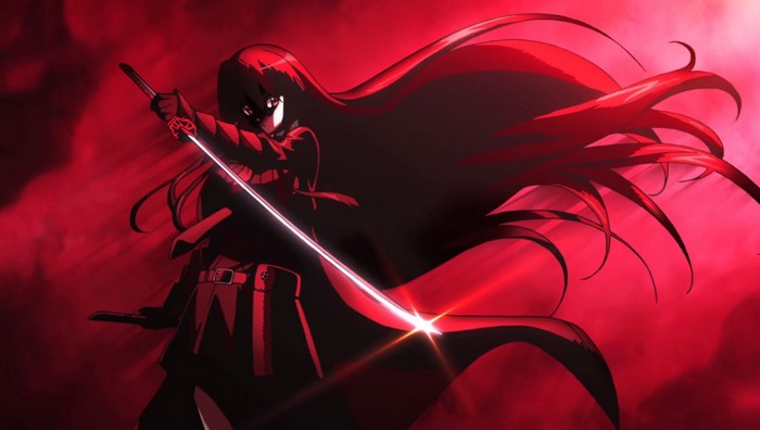 Akame from Akame ga Kill! with a sword