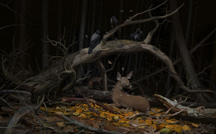 Deer and crows in a dark forest with fallen leaves