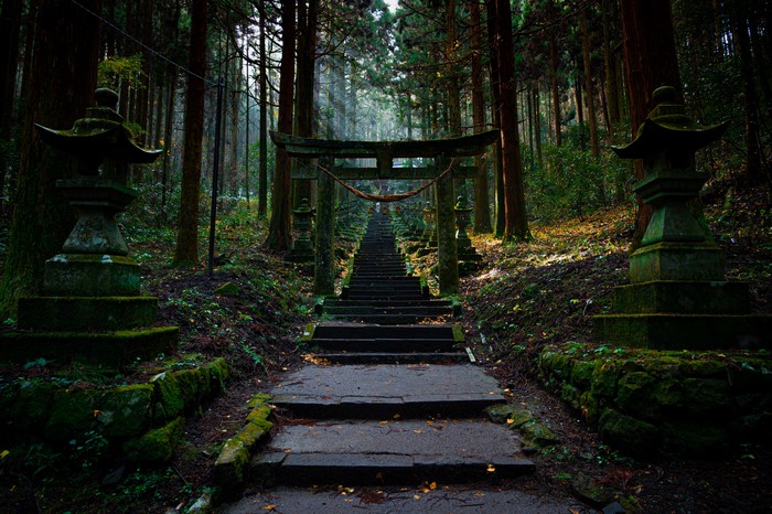 Stone stairs and torii gate in a Japanese forest