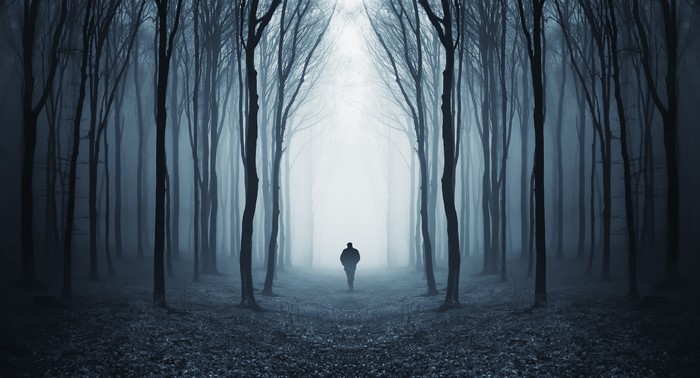 Person walking through a misty forest