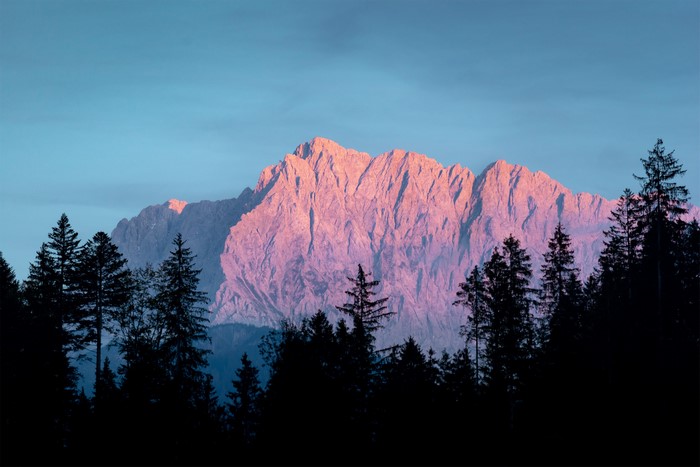 Pink mountain range behind silhouetted forest