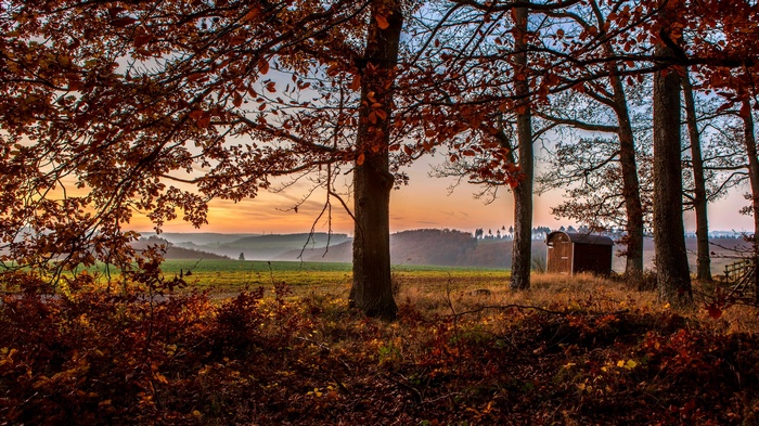 Autumn forest with a small wooden shed at sunset