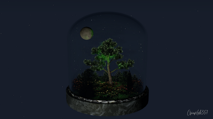 Terrarium with tree and moon under starry sky