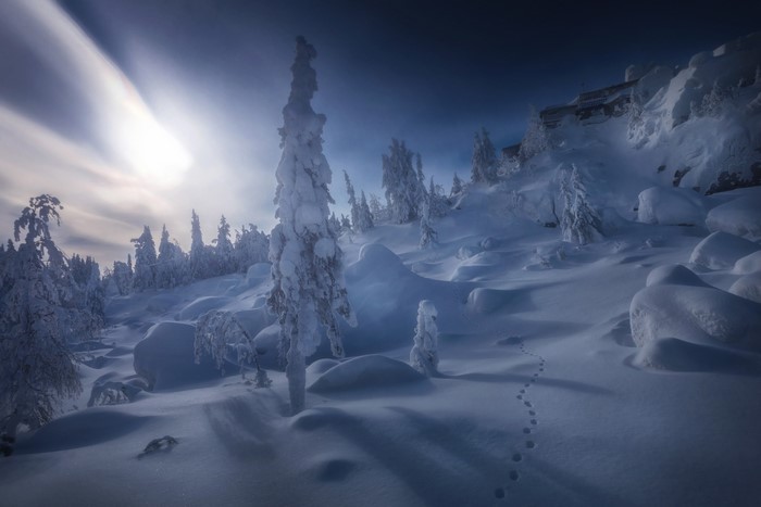 Snowy landscape with trees and footprints in Russia