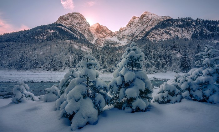Snowy mountains and pine trees by a river