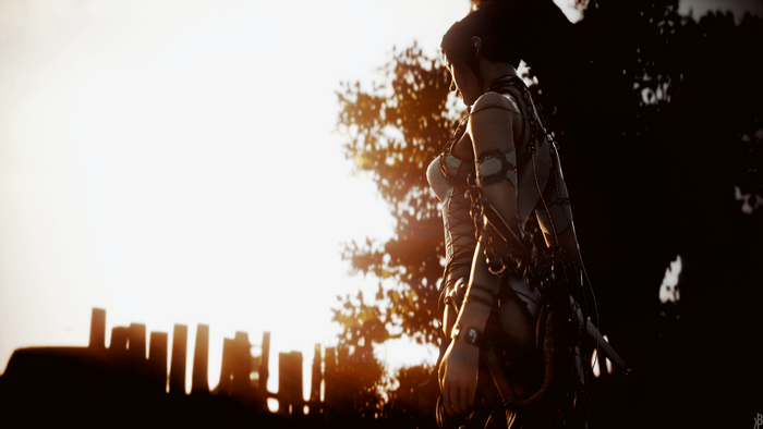 4K Black Desert Online character at sunset