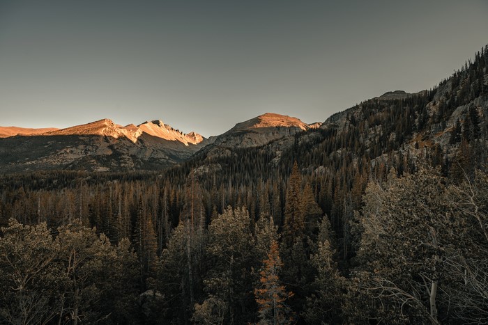 Mountains and forest landscape at sunset