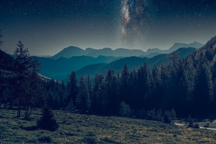 Starry night over mountains and forest