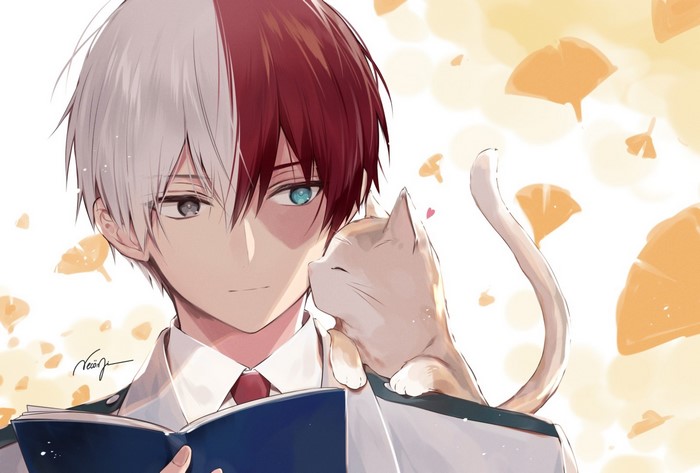 Shoto Todoroki with Cat in Soft Light