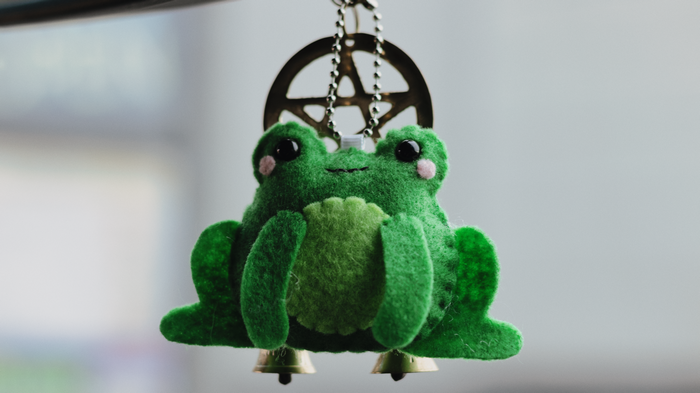 Felt frog charm with pentagram