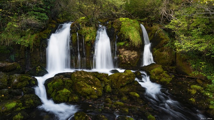 Mossy rocks and a waterfall in a forest