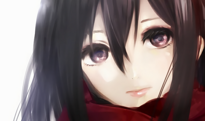 Mikasa Ackerman from Shingeki no Kyojin