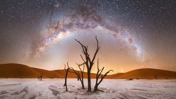 Milky Way over dead trees in desert